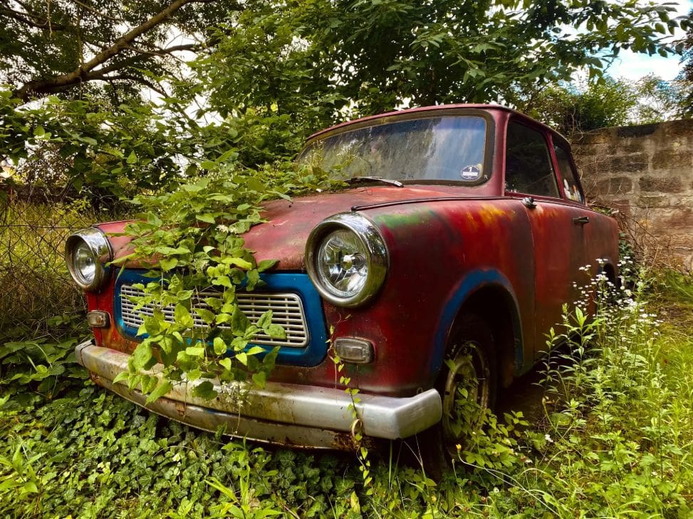 Abandoned classic car covered in overgrown plants collected for scrap car disposal in London.